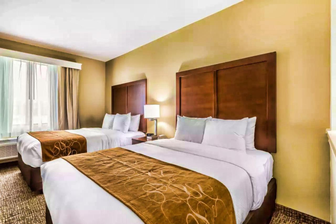 Comfort Suites Houston I45 North Aldine Buitenkant foto